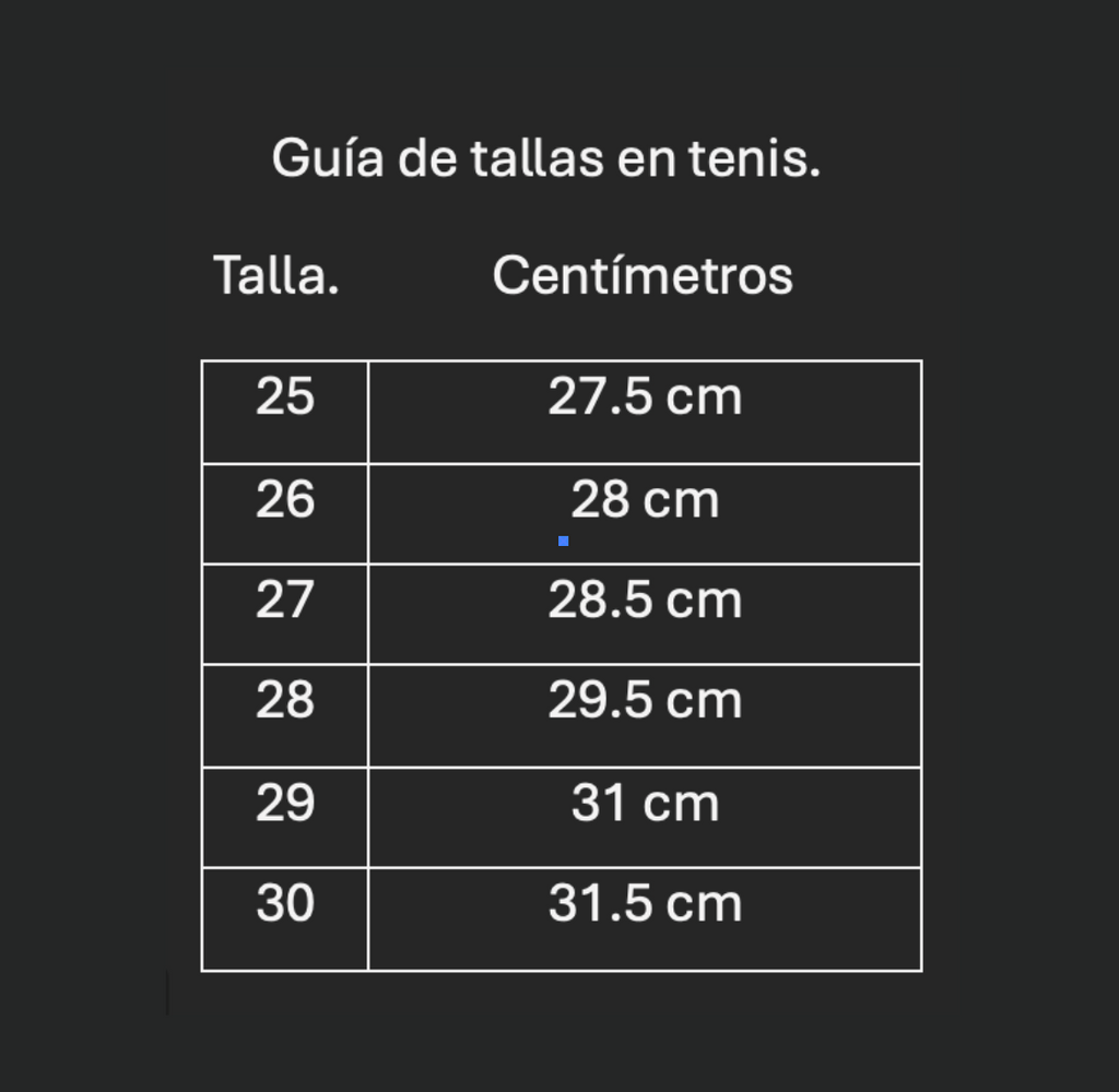 Tenis Piel. Negro.